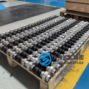 DN25 PN16 Natural Rubber twin sphere rubber compensator with SS304 threaded union ends, high-performance vibration isolation for HVAC systems.