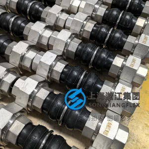 DN25 PN16 Natural Rubber twin sphere rubber compensator with SS304 threaded union ends, high-performance vibration isolation for HVAC systems.