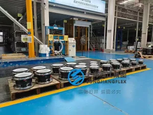SS316 flanged rubber compensator DN250 PN16 PTFE-lined, premium EPDM expansion joint for petrochemical pump systems.
