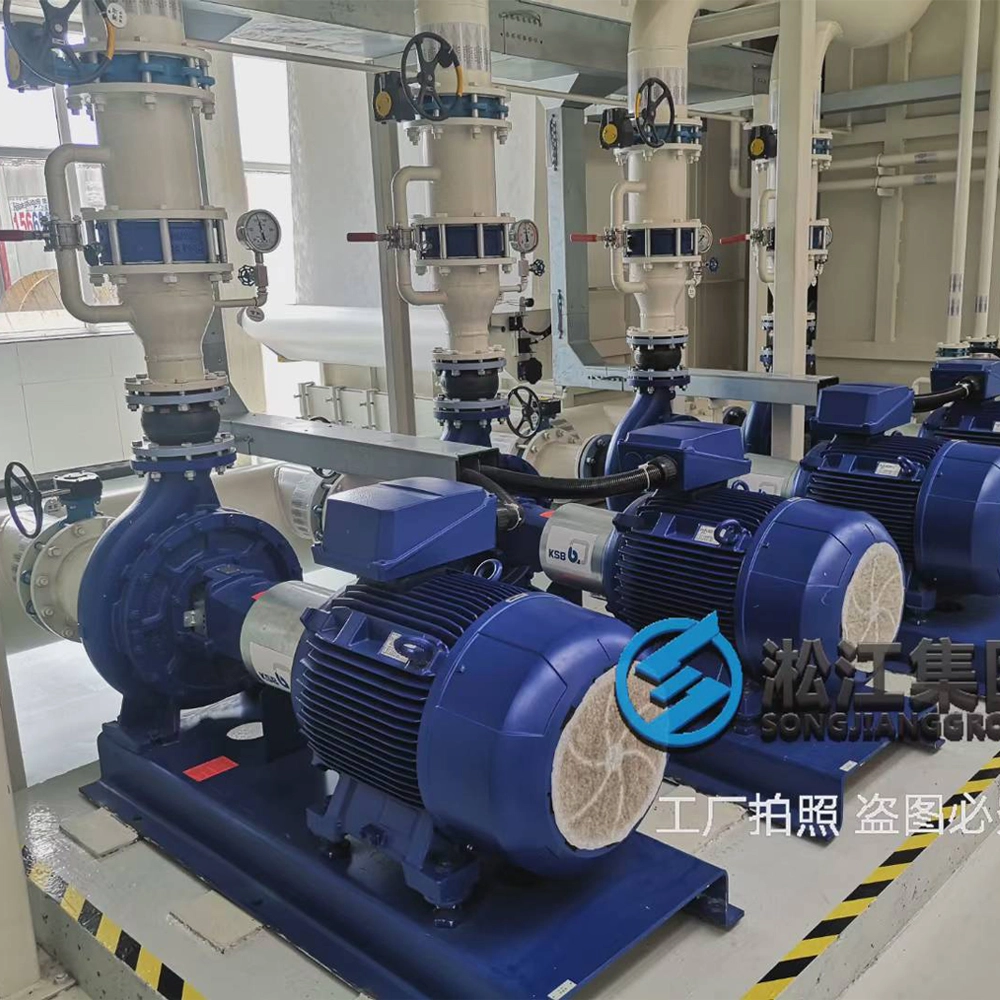 Premium rubber expansion joints installed on the suction and discharge pipework of heavy-duty horizontal end-suction centrifugal pumps within an industrial process water filtration system to isolate vibration and mechanical loads.