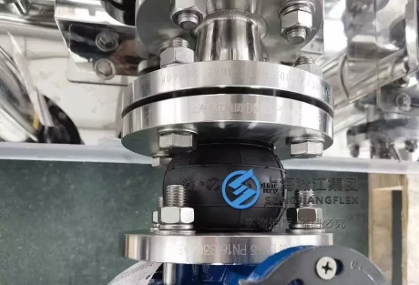 Detailed view of a premium rubber expansion joint with stainless steel flanges fully installed on a vertical multi-stage pump manifold system, demonstrating pristine alignment and professional plumbing workmanship.