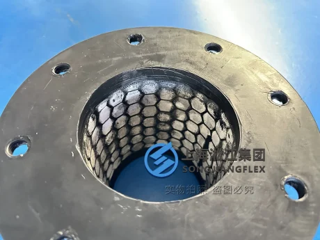 Detailed close-up view of hexagonal alumina ceramic tiles embedded inside the flexible rubber joint liner to prevent erosion wear